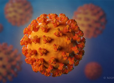 coronovirus-8col.jpg